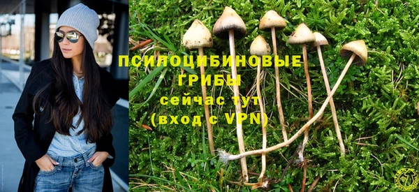 MDMA Premium VHQ Михайлов