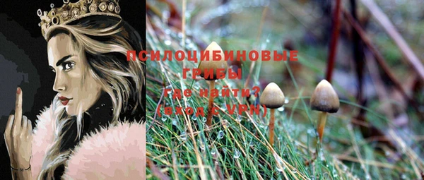 MDMA Premium VHQ Михайлов