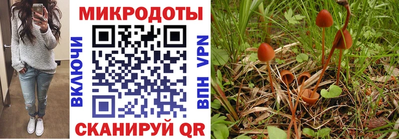 Псилоцибиновые грибы GOLDEN TEACHER  Купить  Пойковский 